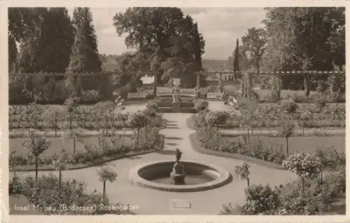 Mainau (Insel) - Rosengarten