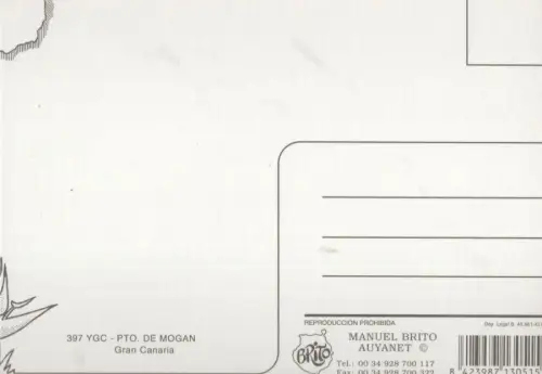 Spanien - Mogan - Spanien - Luftbild