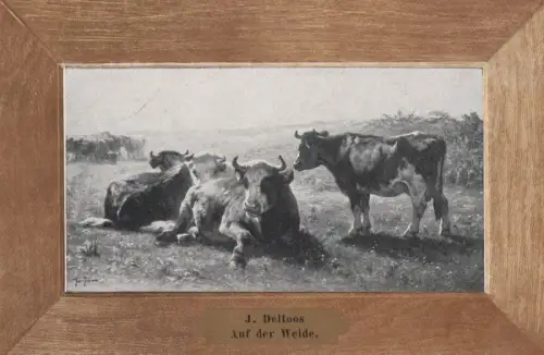 Guinea - J. Deltoos - Auf der Weide