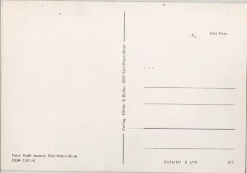 Pferde auf blühender Weide