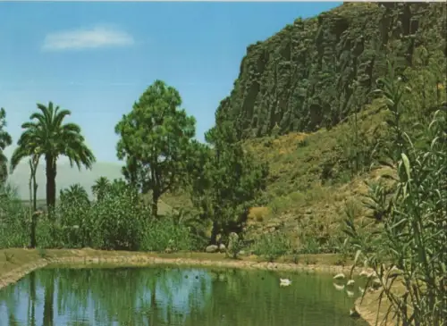 Spanien - Las Palmas - Spanien - Palmitos Park