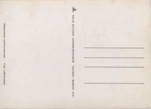 Klatschmohn Kornblumen