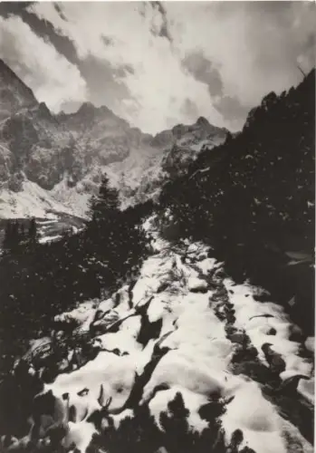 Slowakei - Vysoke Tatry - Hohe Tatra - Tschechien - Schnee