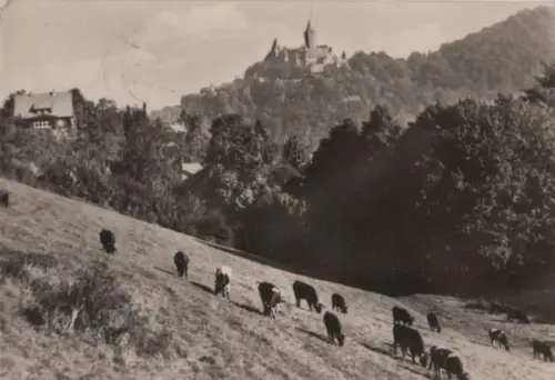 Wernigerode - Im Bollhasental