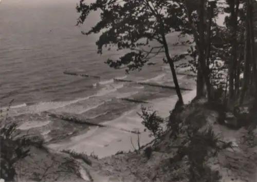 Usedom - Hochufer - 1961
