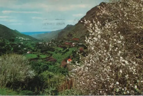 Spanien - Spanien - Las Palmas - Valle de Agaete - 1976