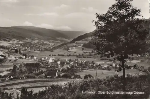 Wald-Michelbach, Ober-Schönmattenwag - Ansicht