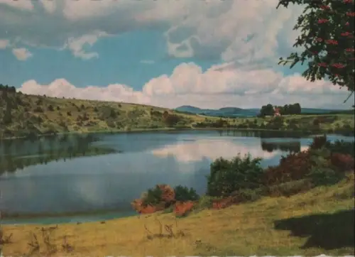 Weinfelder Maar - bei Daun