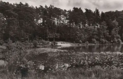 Mölln - Am Pinnsee - 1965