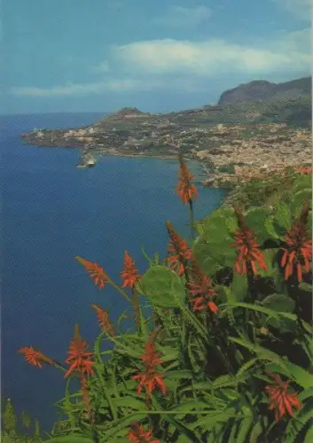 Portugal - Portugal - Funchal - Vista Oeste - 1987