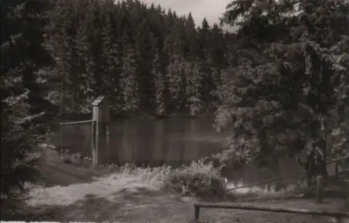 Wildemann - Oberer Spiegeltaler Teiche - 1959