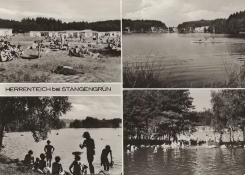 Stangengrün (OT von Kirchberg) - Herrenteich