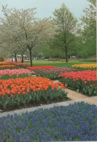 Niederlande - Niederlande - Lisse - Keukenhof - ca. 1985