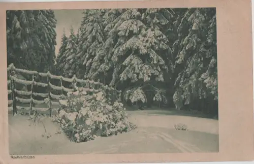 Rauhreifblüten - 1925