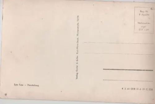 Zwei Katzen neugierig