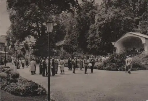 Bad Salzschlirf - Kurpark - ca. 1965
