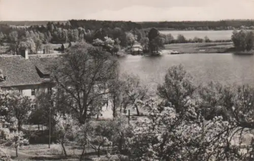 Zechlin - Blick über Schwarzen zum Großen Zechliner See - 1965