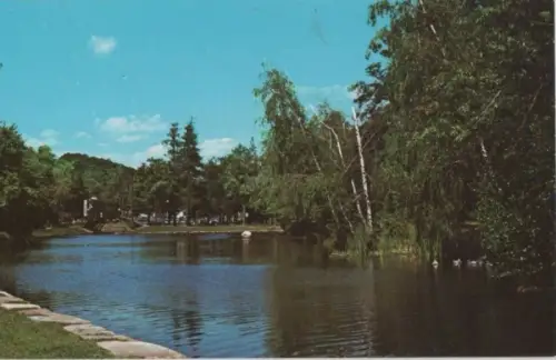 USA - Worcester - USA - Elm Park