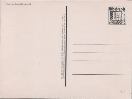 Lüneburger Heide - 8 Bilder