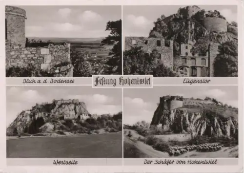 Hohentwiel - Festung, u.a. Der Schäfer - ca. 1960