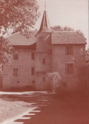 Schweiz - Schweiz - Seengen, Schloss Hallwyl - vorderes Haus - 1996