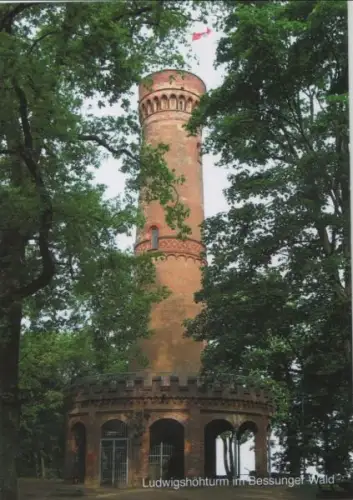 Darmstadt-Bessungen - Ludwigshöhturm im Wald - ca. 1985