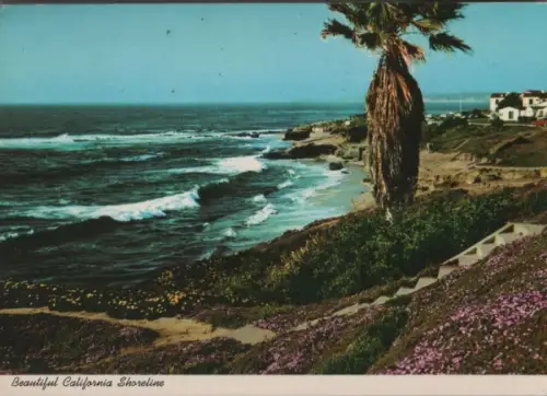 USA - USA - Kalifornien - California - California Shoreline - 1980