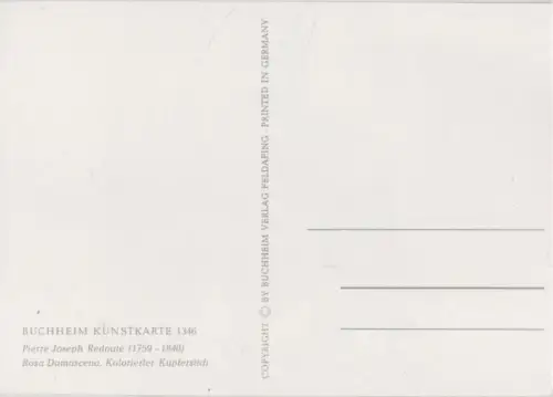 Pierre Joseph Redoute blühen