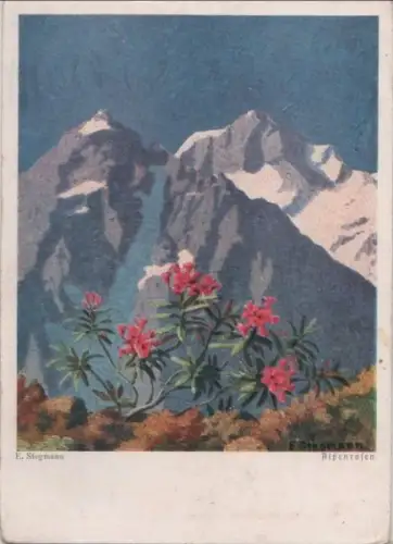 E. Stegmann Alpenrosen