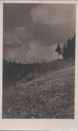 Landschaft in den Bergen