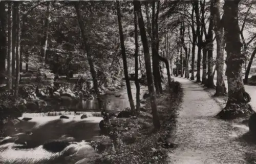 Bad Wildbad - An der Enz - 1965