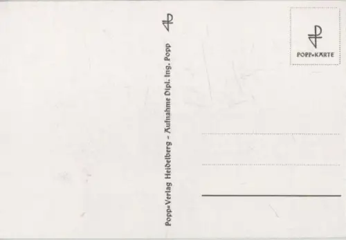 Pflanzenteil schwarzweiß