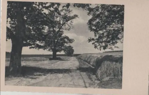 Am Feld entlang - ca. 1955