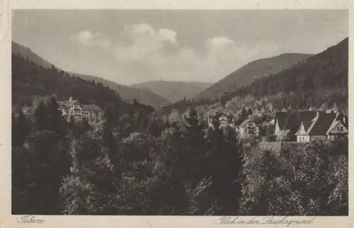 Tabarz - Blick in Lauchagrund