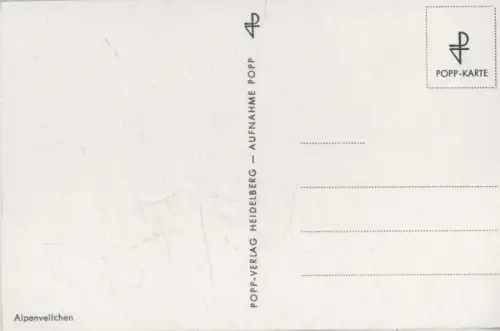 zwei Blüten eigenartig