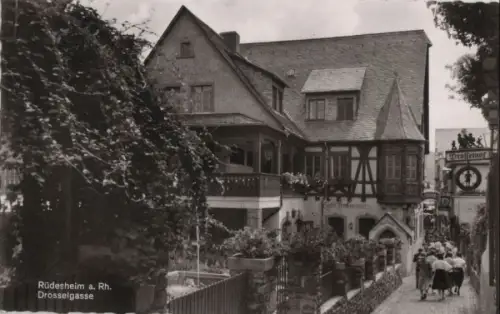 Rüdesheim - Drosselgasse - ca. 1960