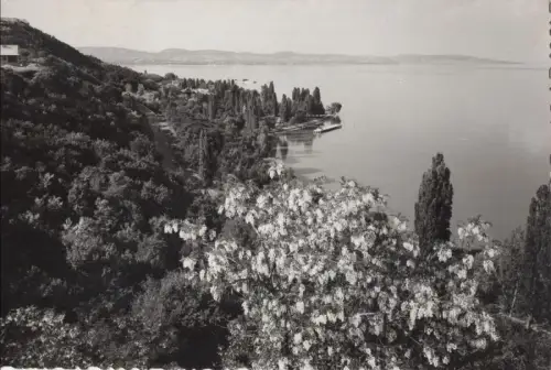 Ungarn - Tihany - Ungarn - Ansicht