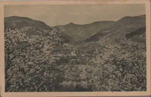 Elbe - Baumblüte - 1951