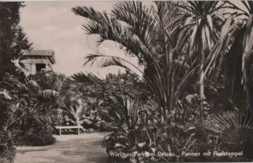 Wörlitz - Wörlitzer Park, Palmen und Floratempel - 1961