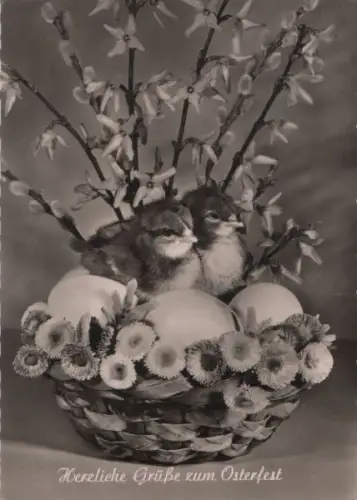 Zum Osterfest Eiernest