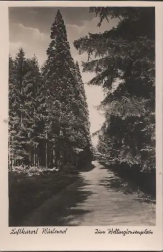 Wüstenrot - Zum Wellingtonienplatz - ca. 1955