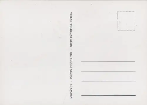 Rosa Indica subviolacea blühend