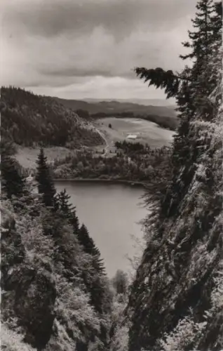 Feldberg / Schwarzwald - Hotel Feldbergerhof - 1961