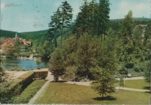 Braunlage - Kurpark mit Blick auf Gondelteich - 1964