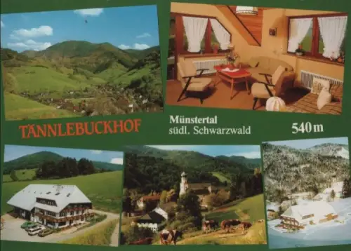 Münstertal - Tännlebuckhof - ca. 1980