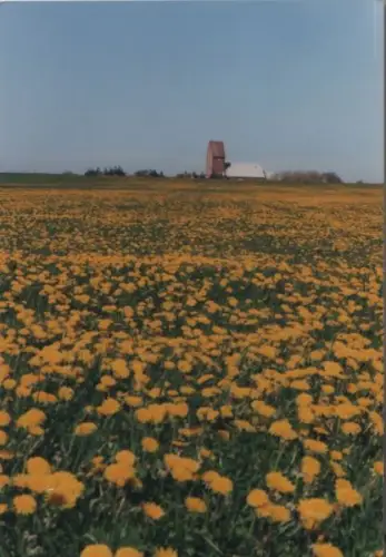 unbekannter Ort - 2003