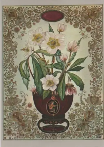 Lisl Thurnher Christrose