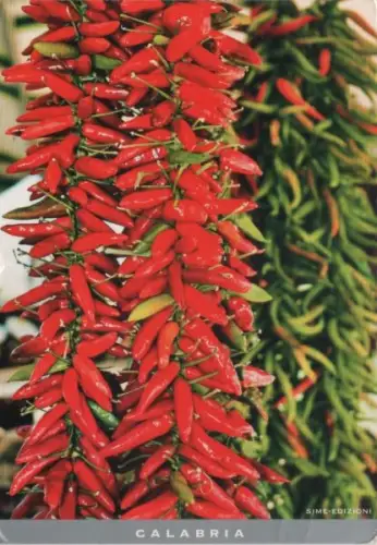 Italien - Kalabrien - Italien - Peperoni