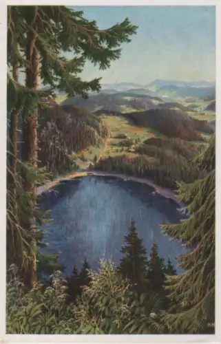 Feldberg / Schwarzwald - Feldsee - ca. 1965