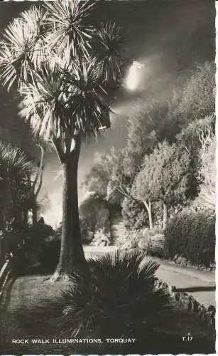 PC24447 Rock Walk Illuminations. Torquay. Bei Nacht. Lansdowne. RP